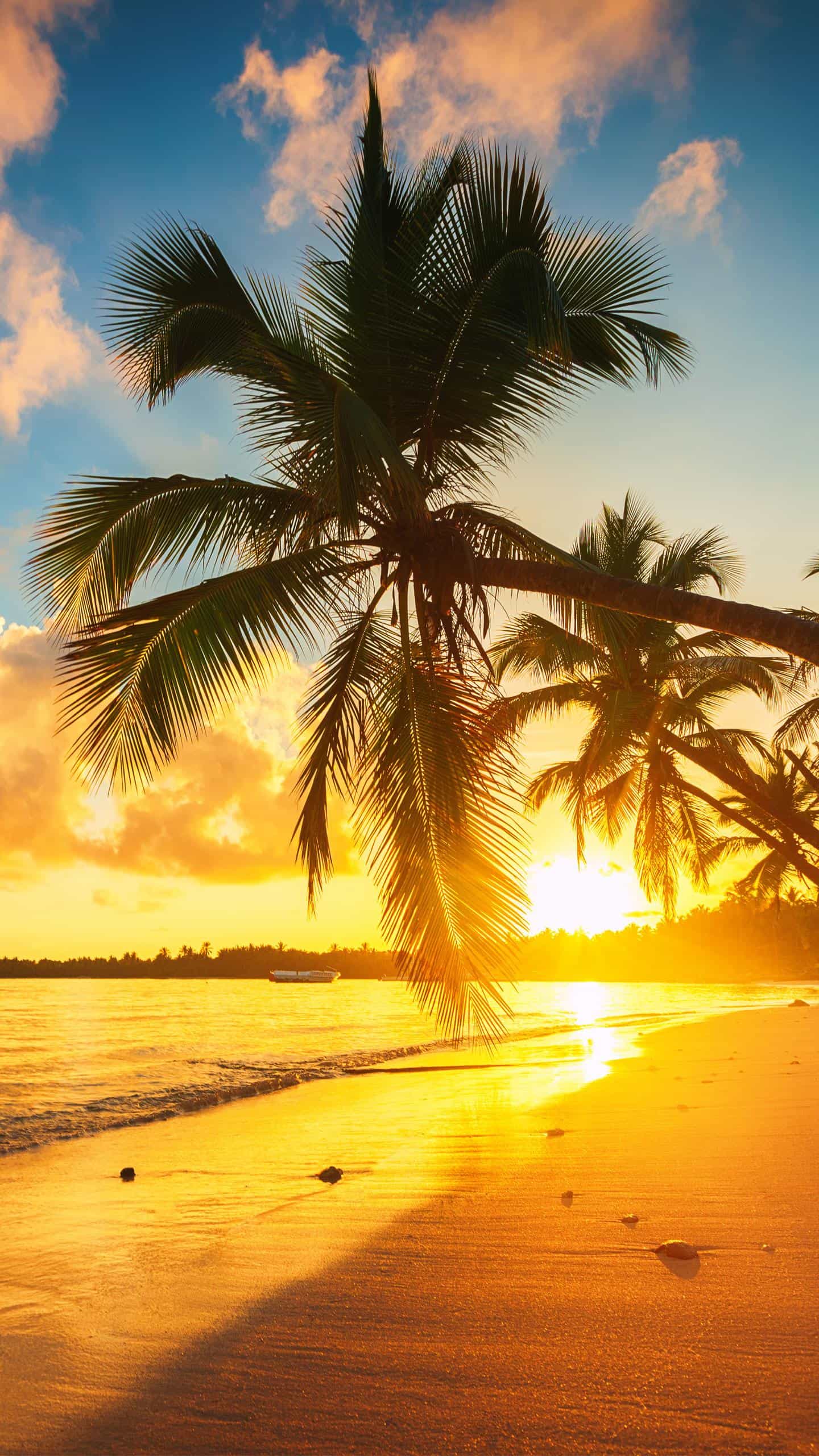 AzzY - Summer Time prod by Daddy Tee Featuring Maphee