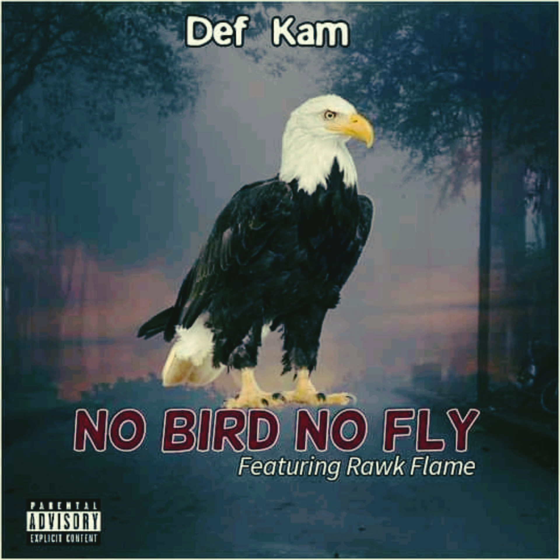 Def Kam - NO_BIRD_NO_FLY Featuring Rawk Flame album artwork