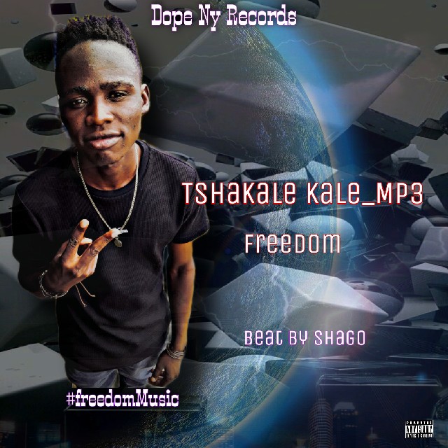 Freedom - Tshakale kale Mp3 Featuring (shagobeats& Engineering)
