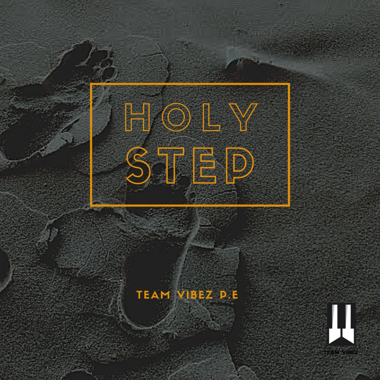 Team Vibez P.E - Holy Step