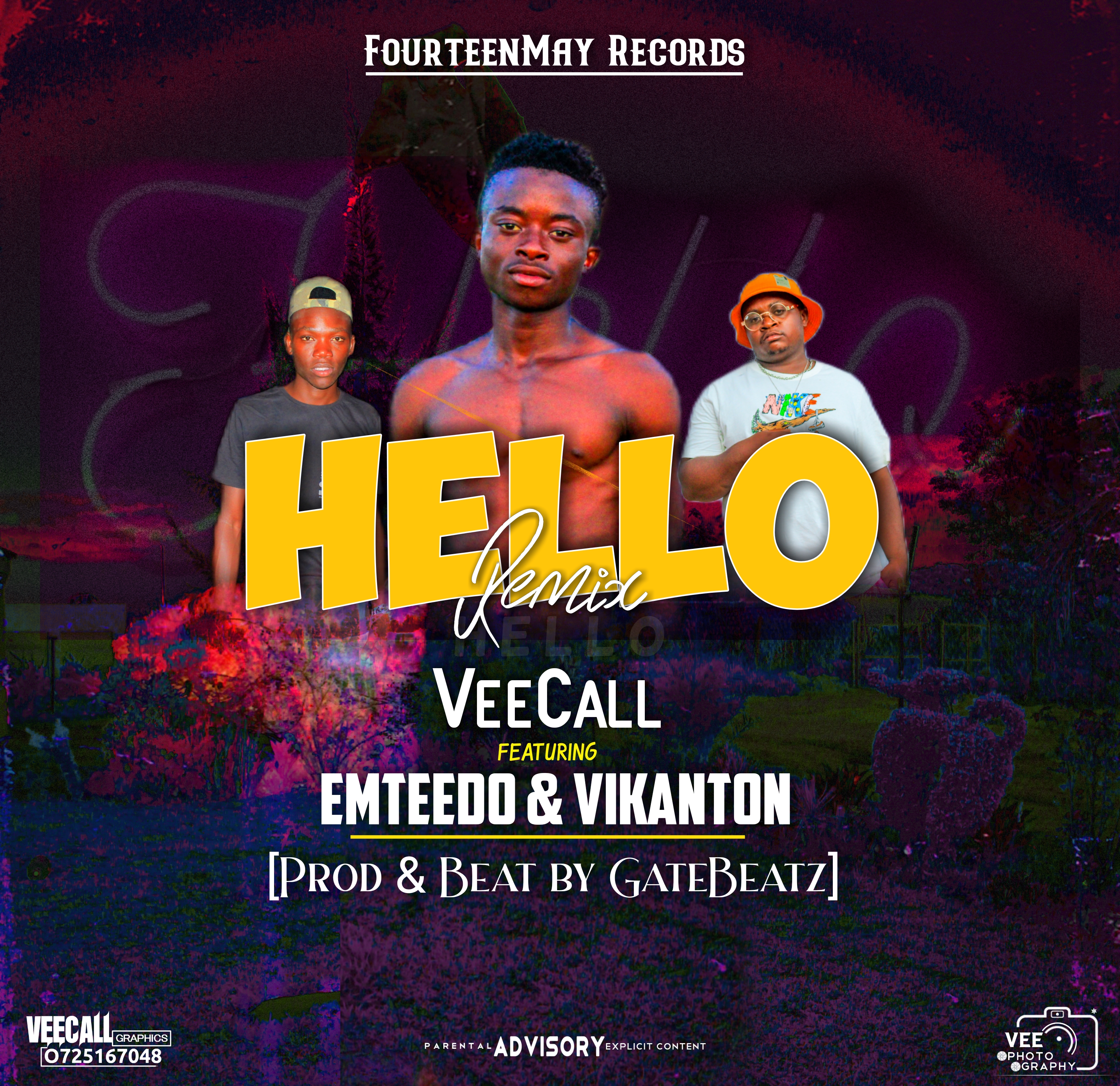 VeeCall - Hello Remix Featuring Emteedo & Vikanton