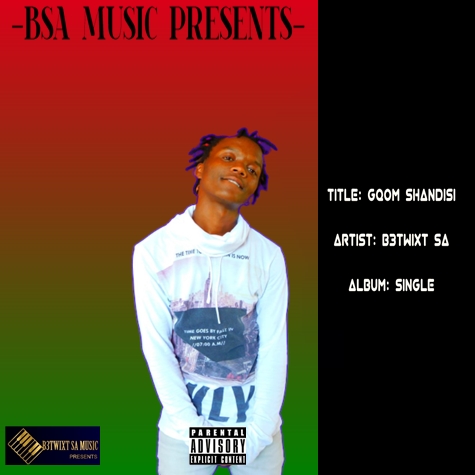 B3Twixt SA - Gqom Shandisi (Crying Melodies) album artwork