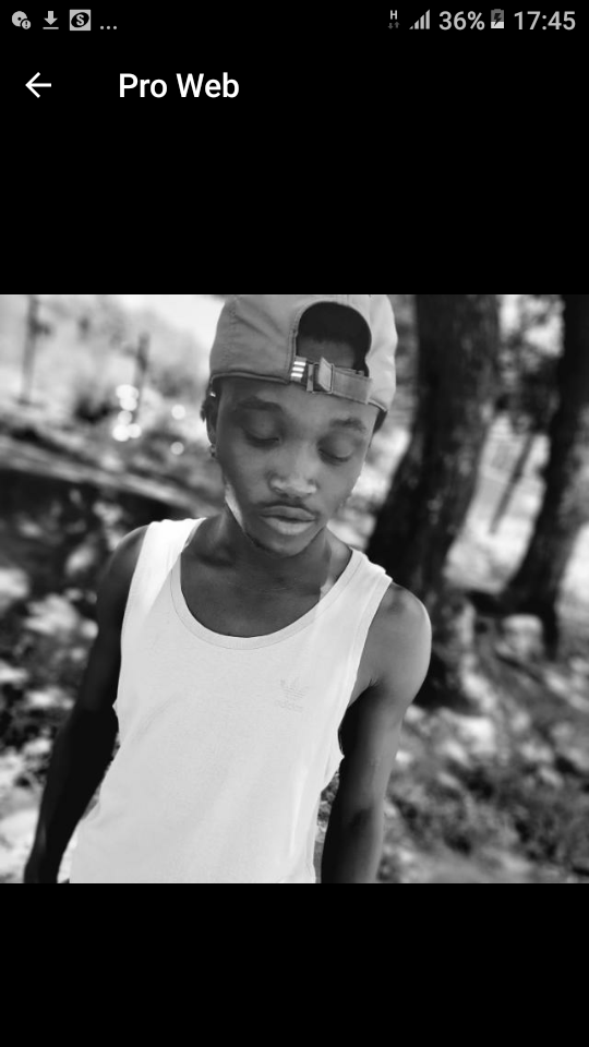 J Felleb - Hold Featuring Pro Web