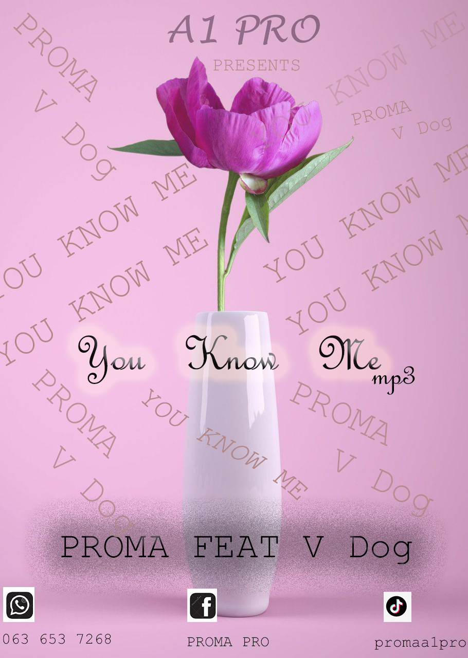 PROMA - You know me Featuring V dog