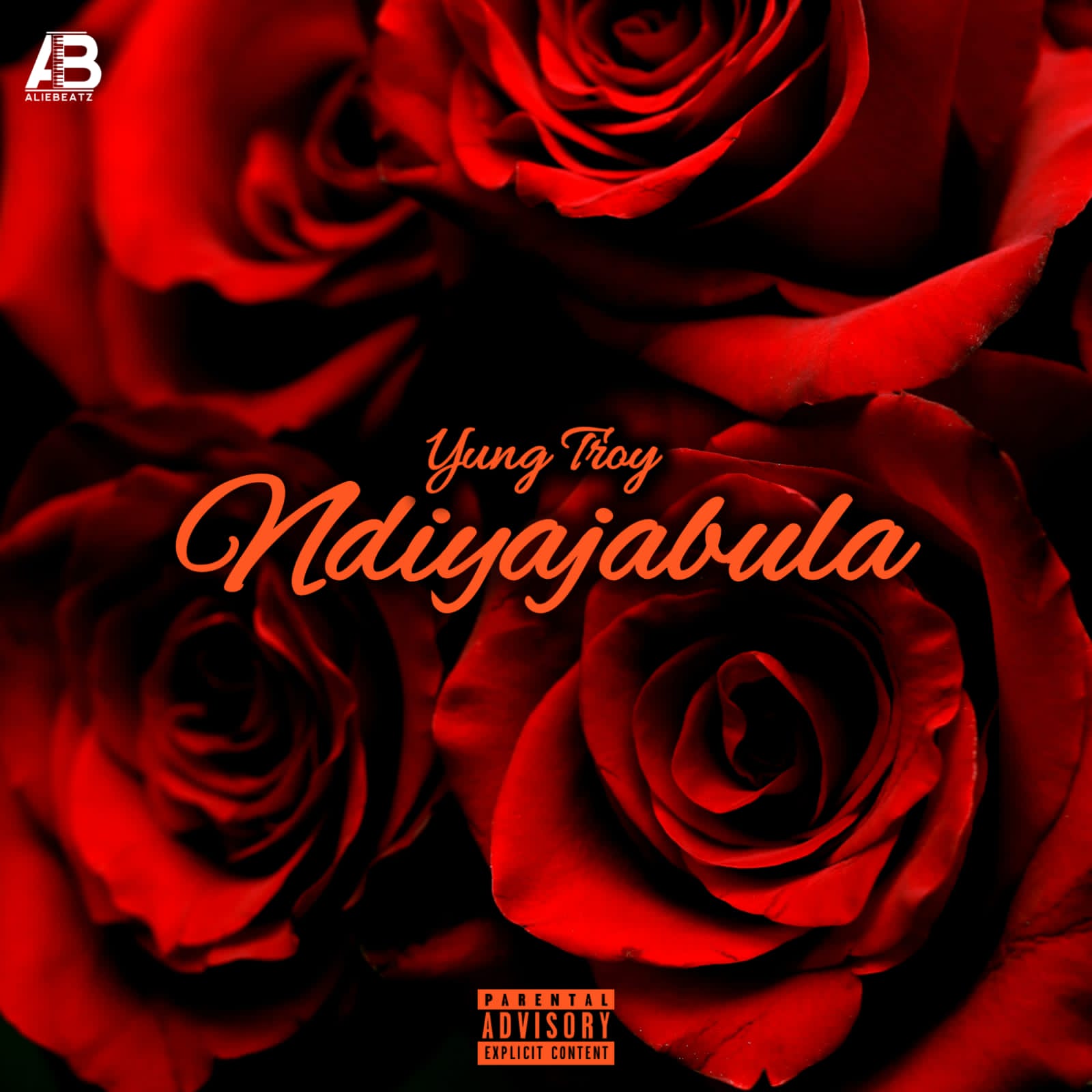 Yung Troy - Ndiyajabula