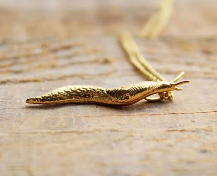 Gold slug - Slime language Featuring Spider