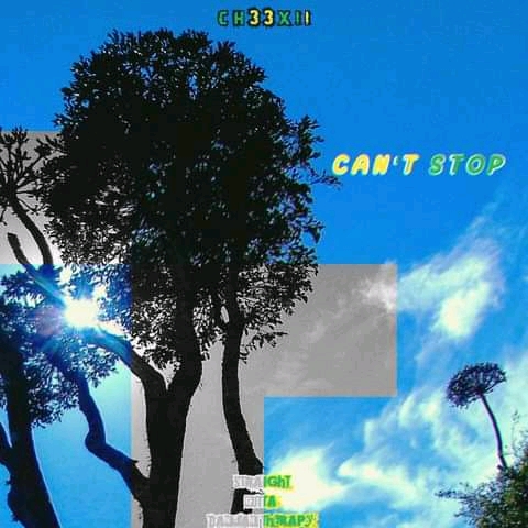 Ch33xii - Can't