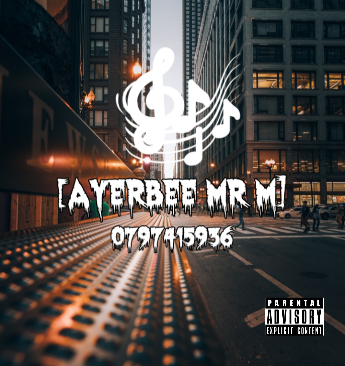 Ayerbee Mr M - Le party izoba lit