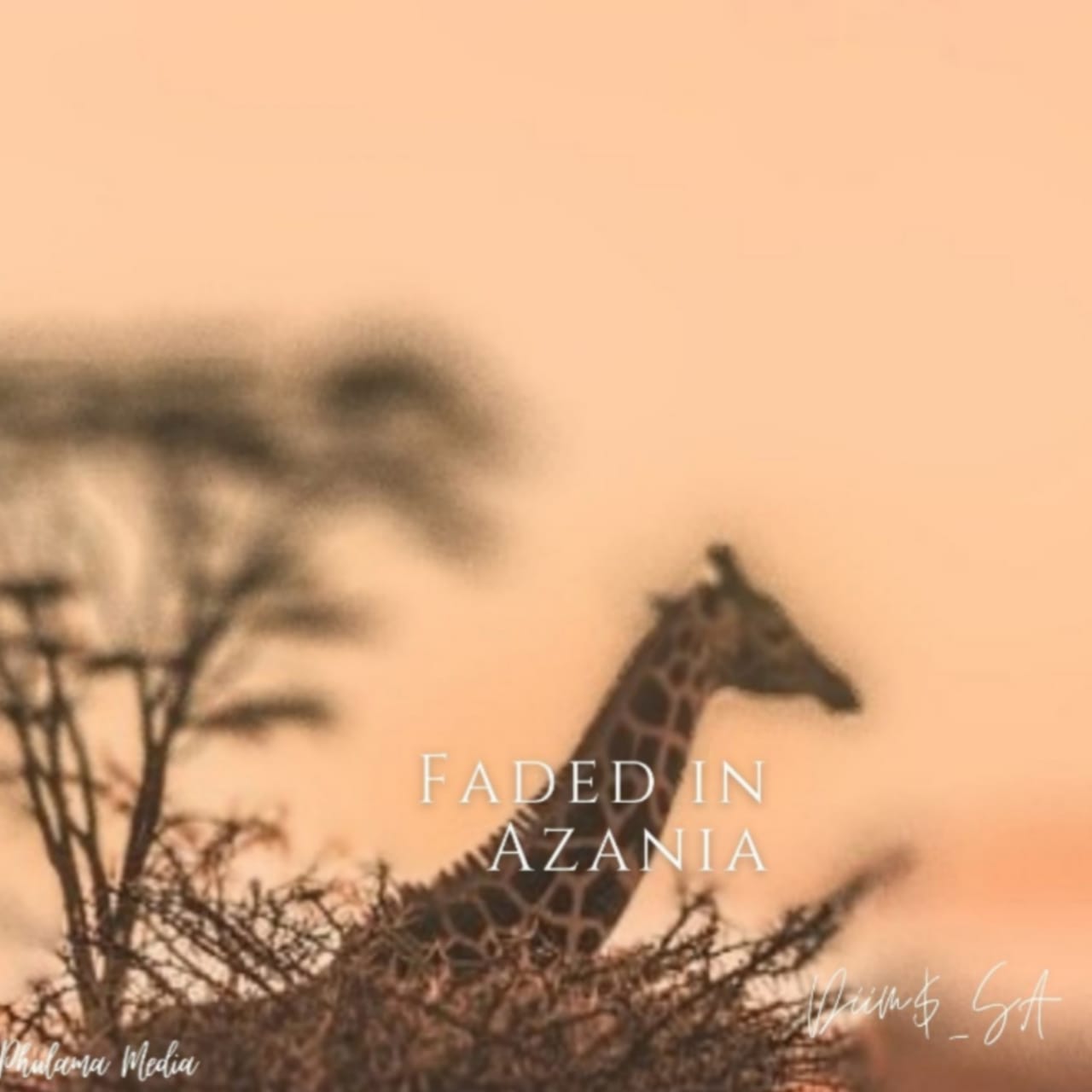 Diims_sa - Faded in Azania