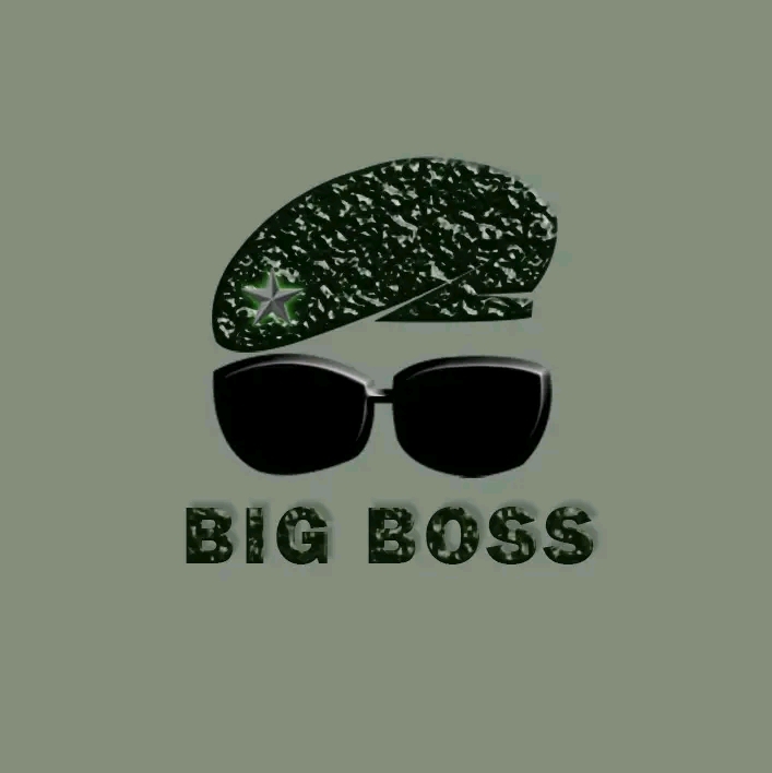 Major Idyan. - BIG BOSS Featuring Ncilashe album artwork