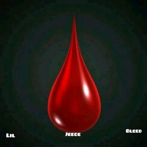 Lil jeece Bleed - Life D'ior Featuring NBG YOUNG SKY