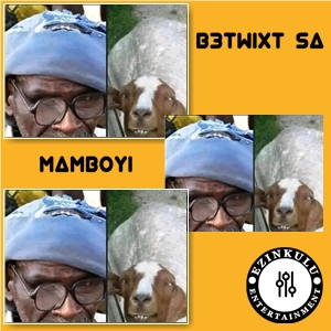 B3Twixt SA - Mamboyi (Gqom Version)