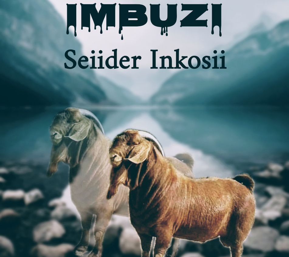 Seiider Inkosii - IMBUZI Featuring None
