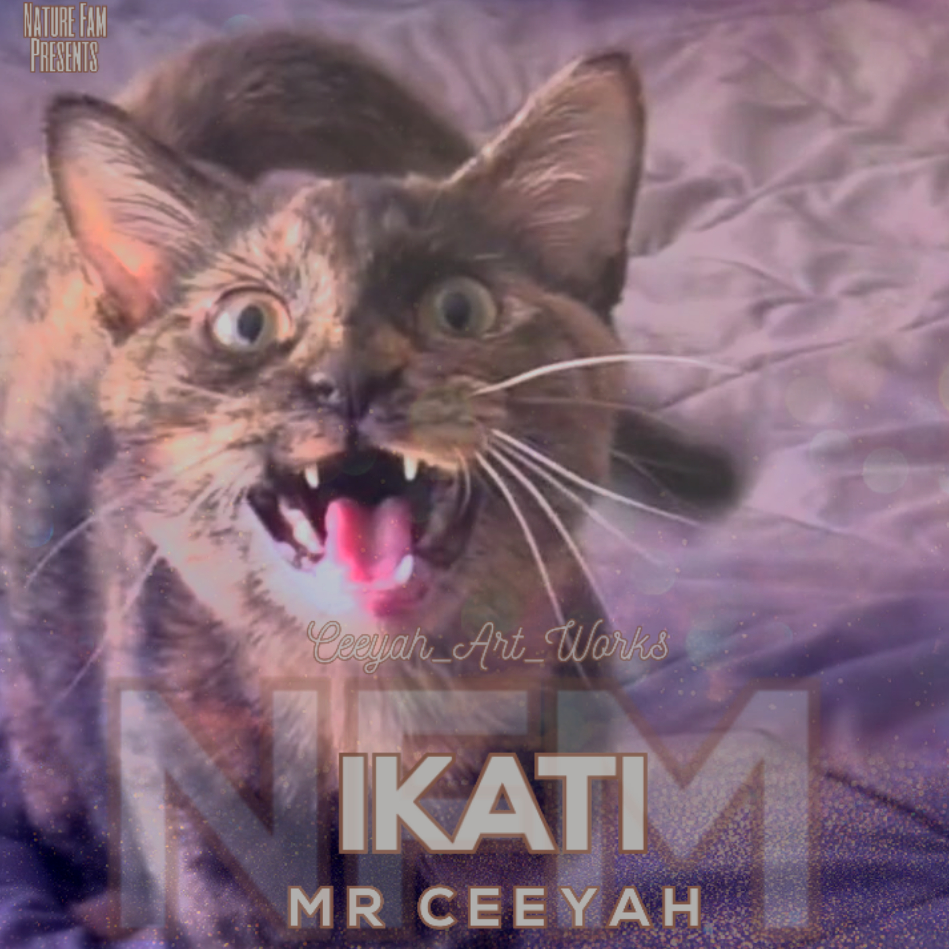 Mr Ceeyah - Ikati (Cat)