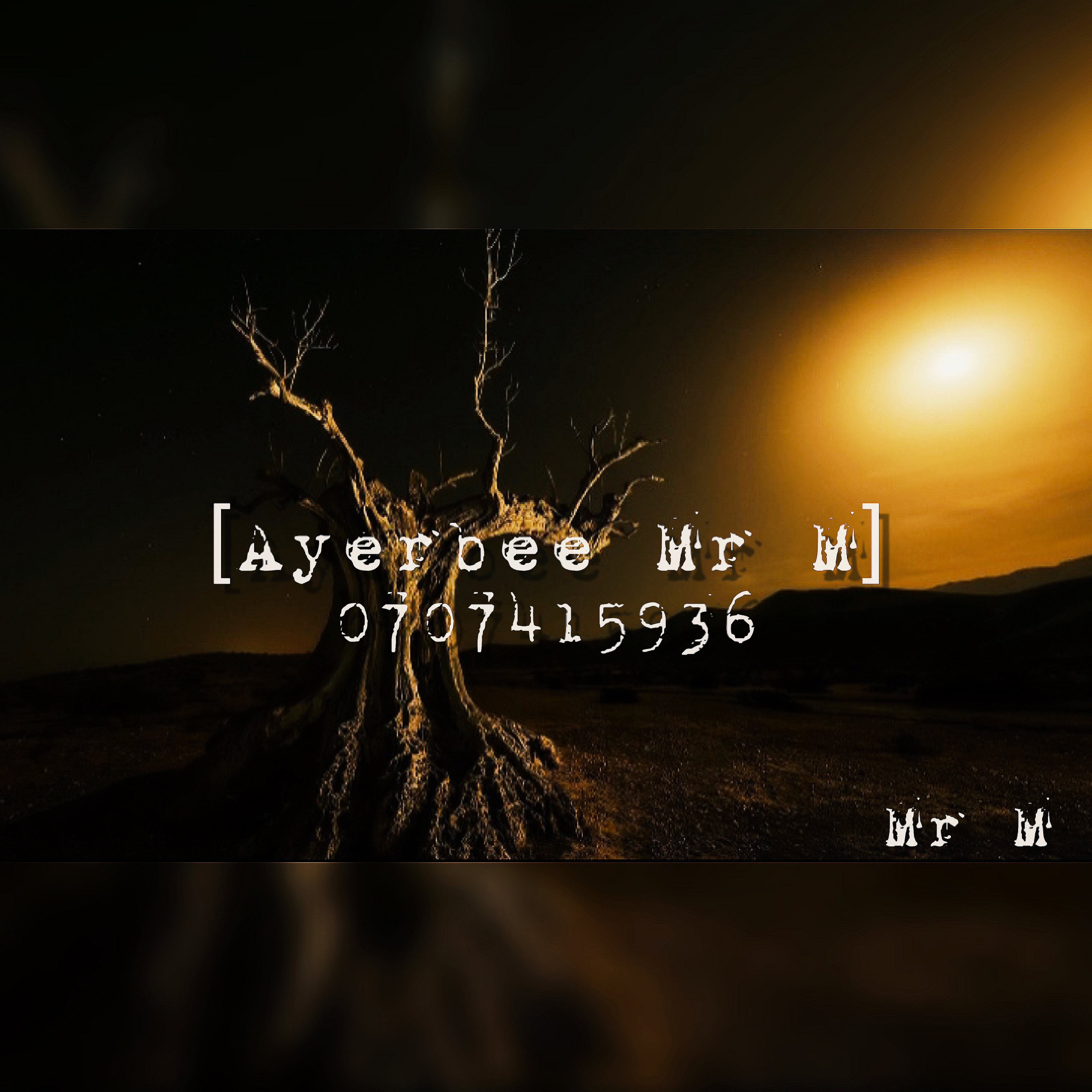Ayerbee Mr M - Ndizohlala ndingowakho