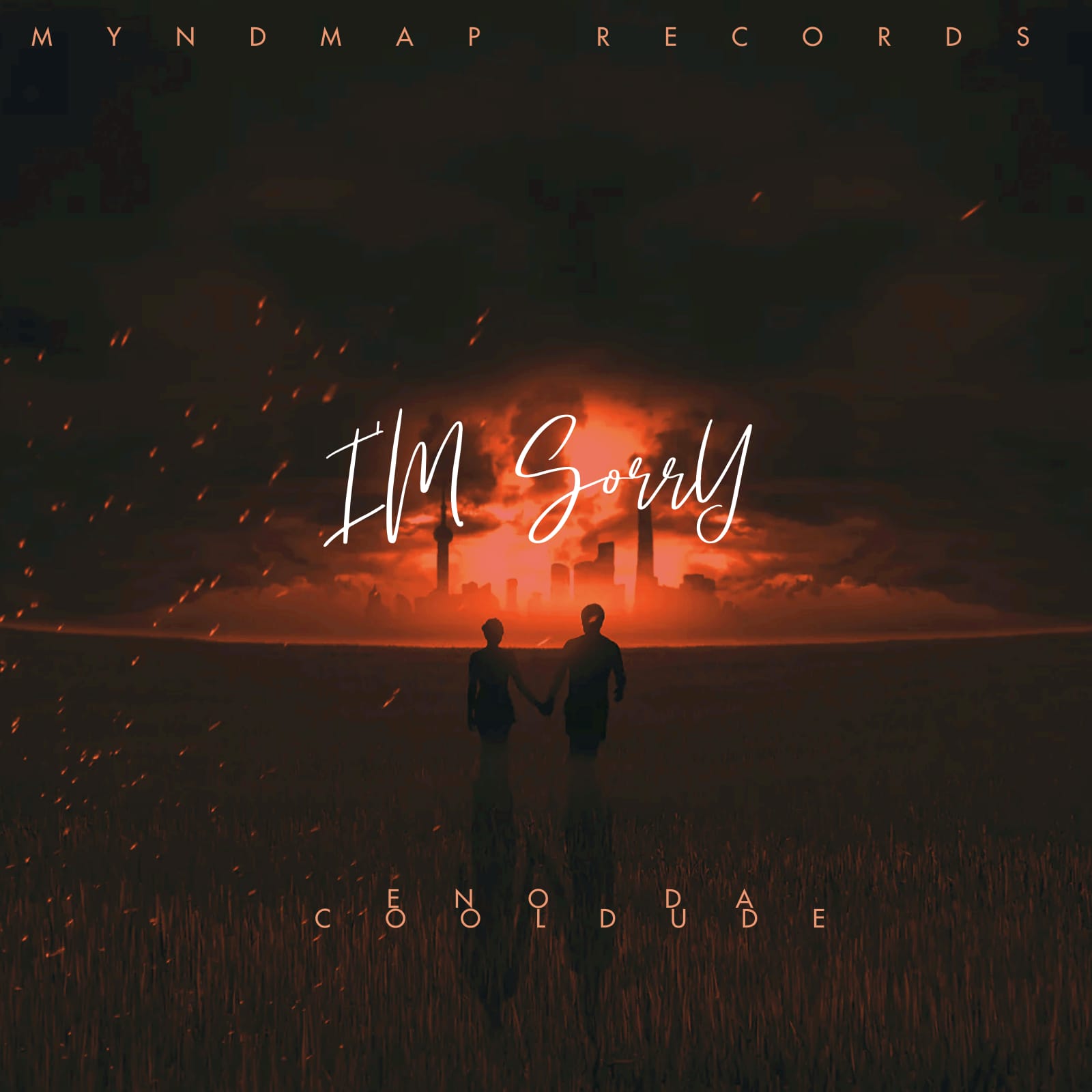 Eno da CoolDude - am sorry album artwork