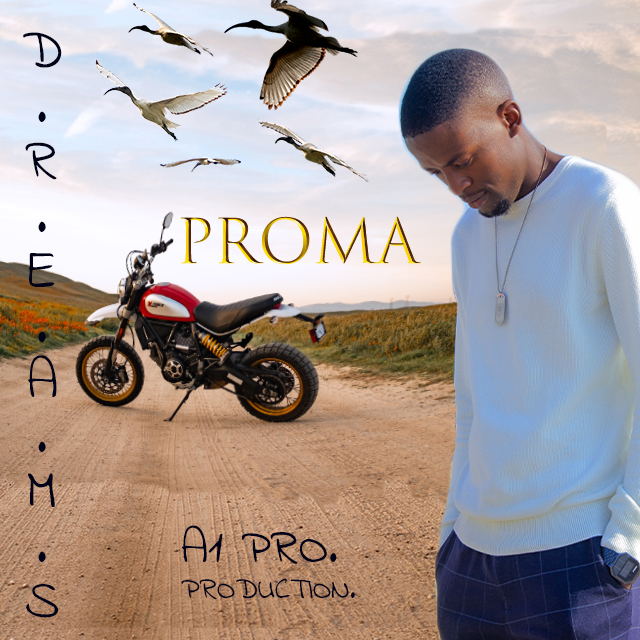 PROMA - D. R. E. A. M. S