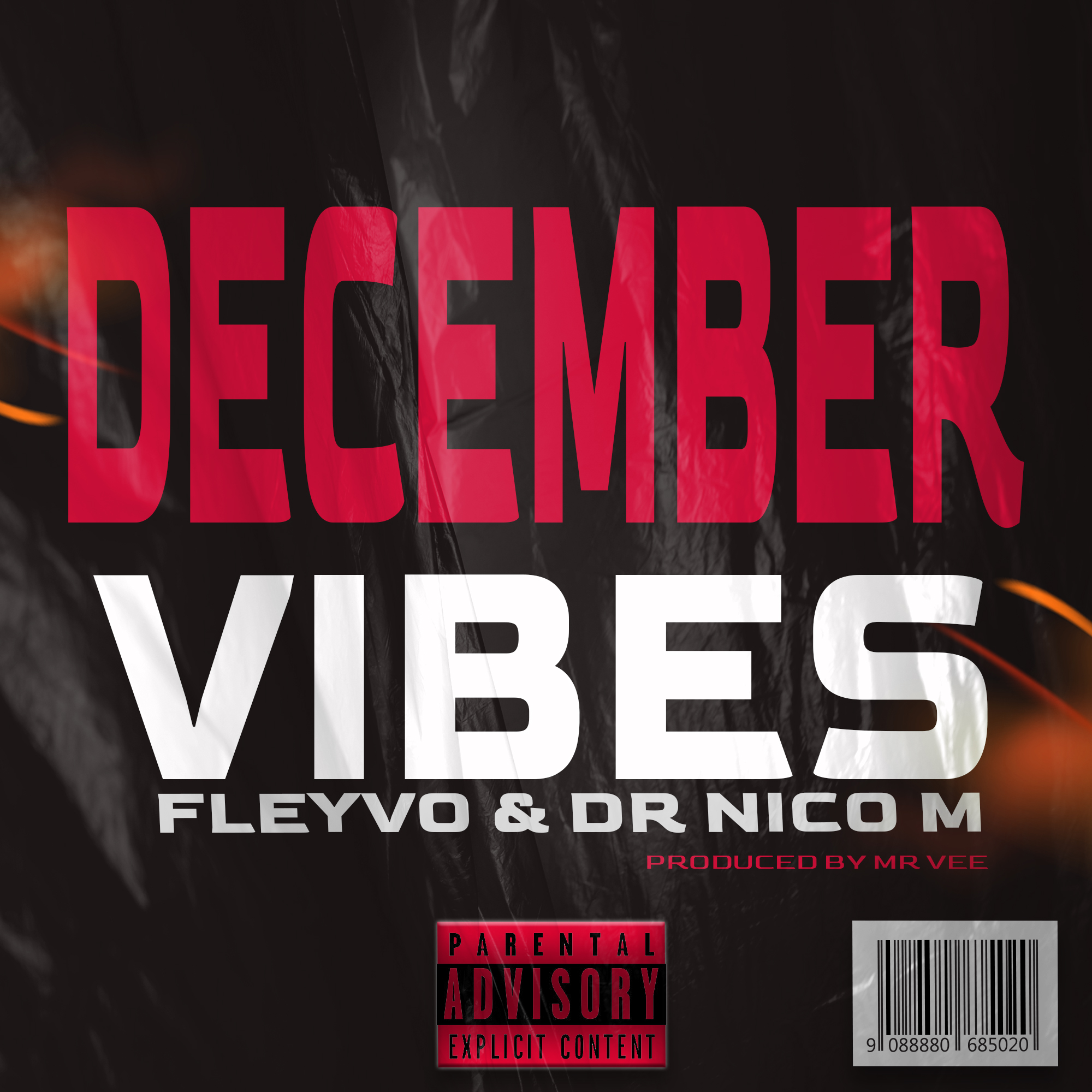 Fleyvo & Dr Nico M - December vibes