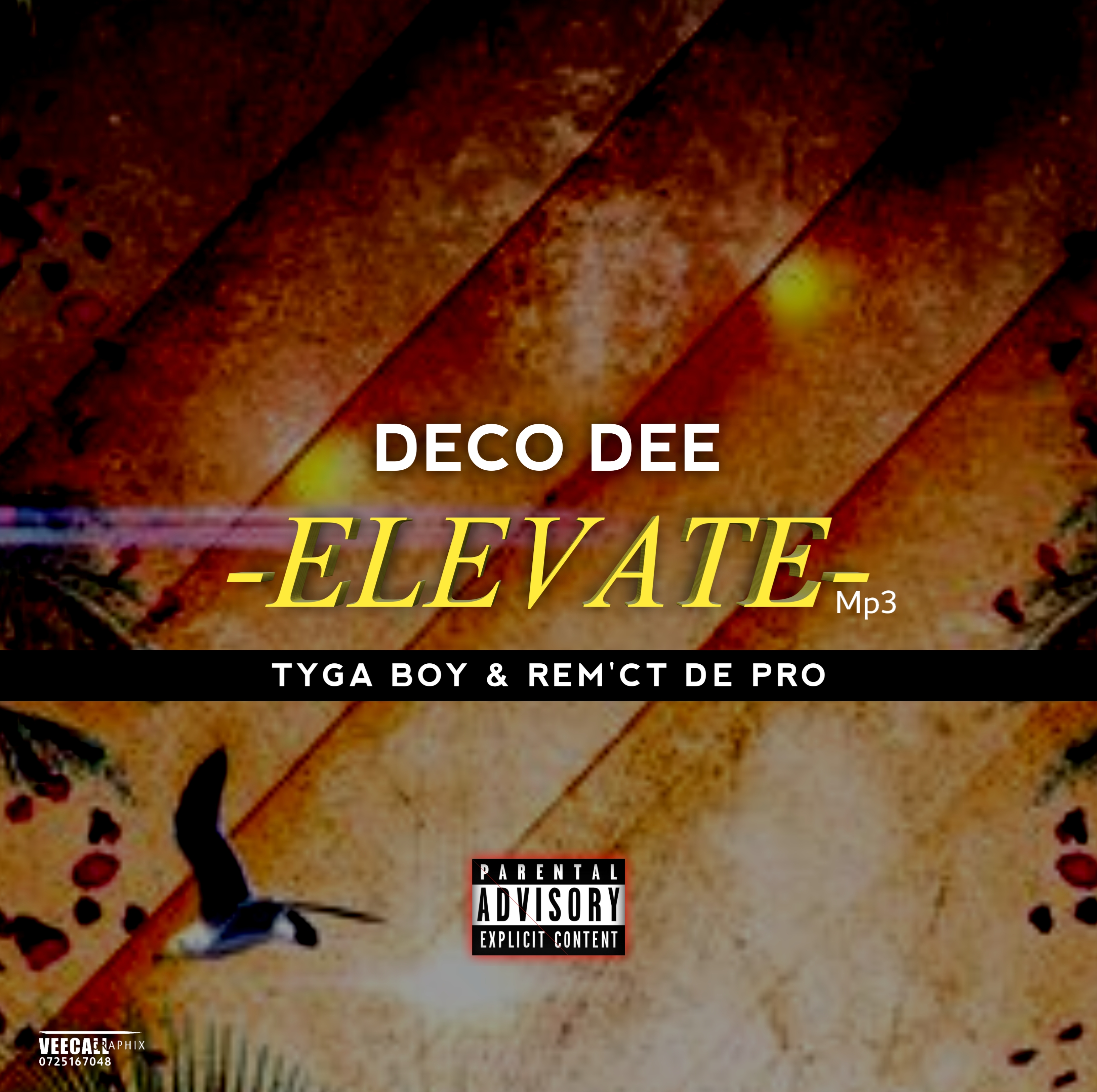 Deco Dee - Elevate Featuring Tyga boy mukoni & Rem'ct de  pro