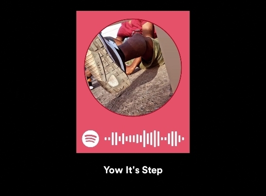 Step over - Funa lewei Featuring King khathaza Rsa album artwork