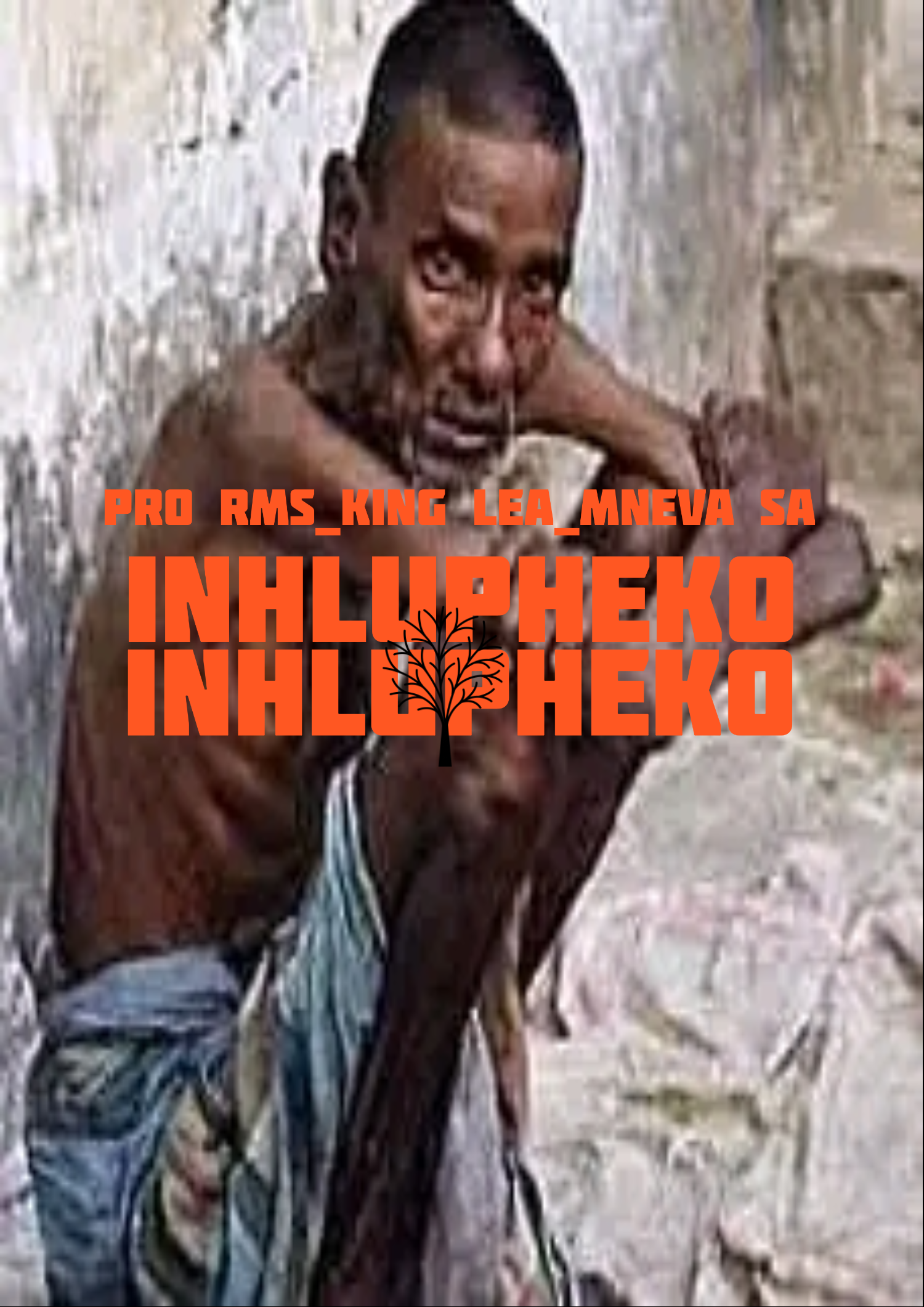 Mneva SA, PRO RMS x KING LEA - INHLUPHEKO album artwork