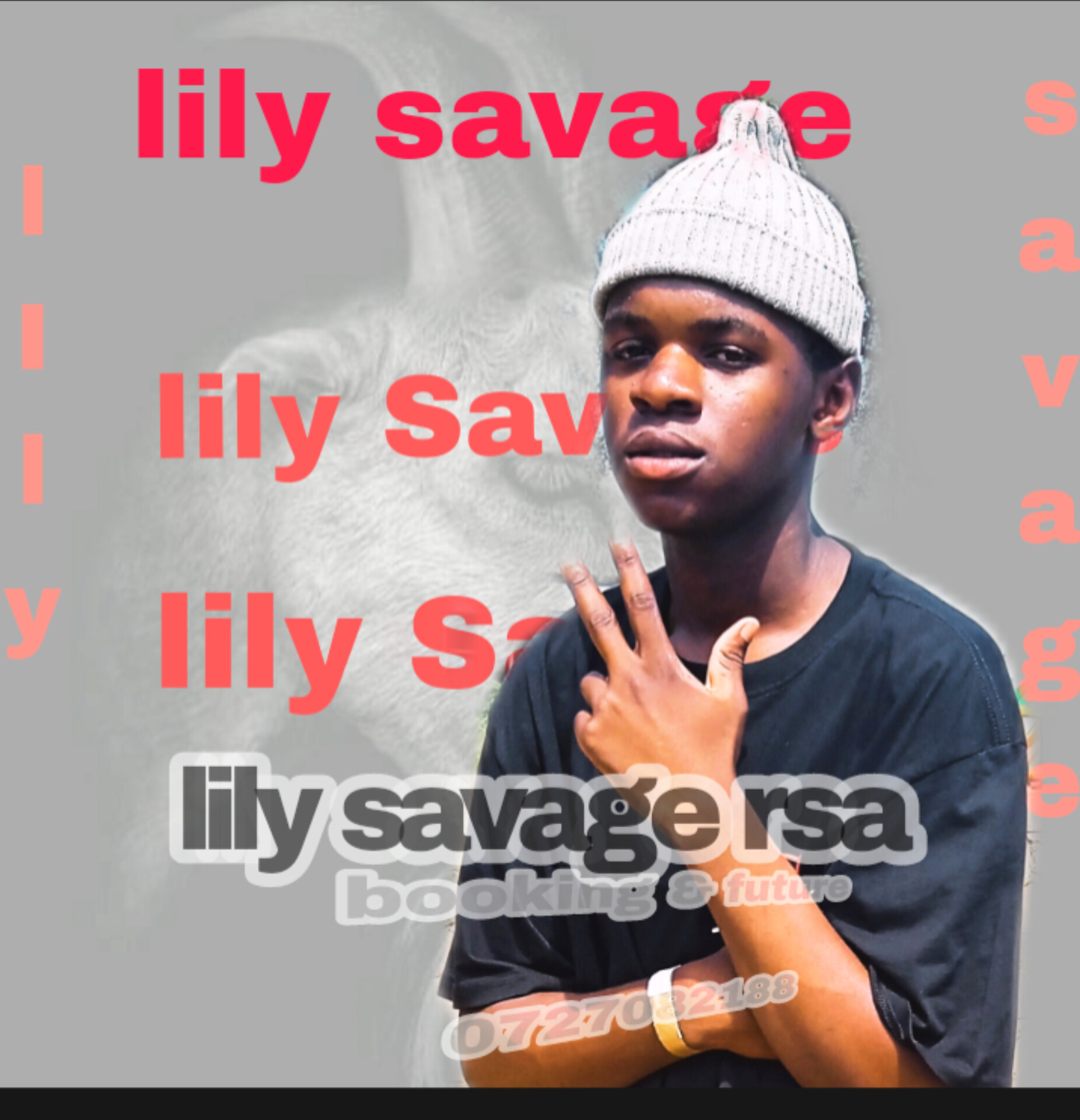Lily savage rsa - Lyf styl remix