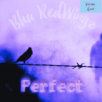 Bhu Redwingz - Perfect