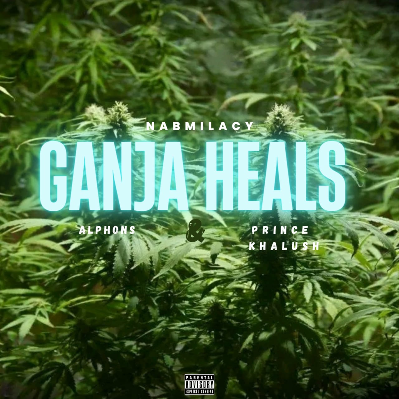 Nabmilacy - GANJA HEALS Featuring Alphons &Prince khalush