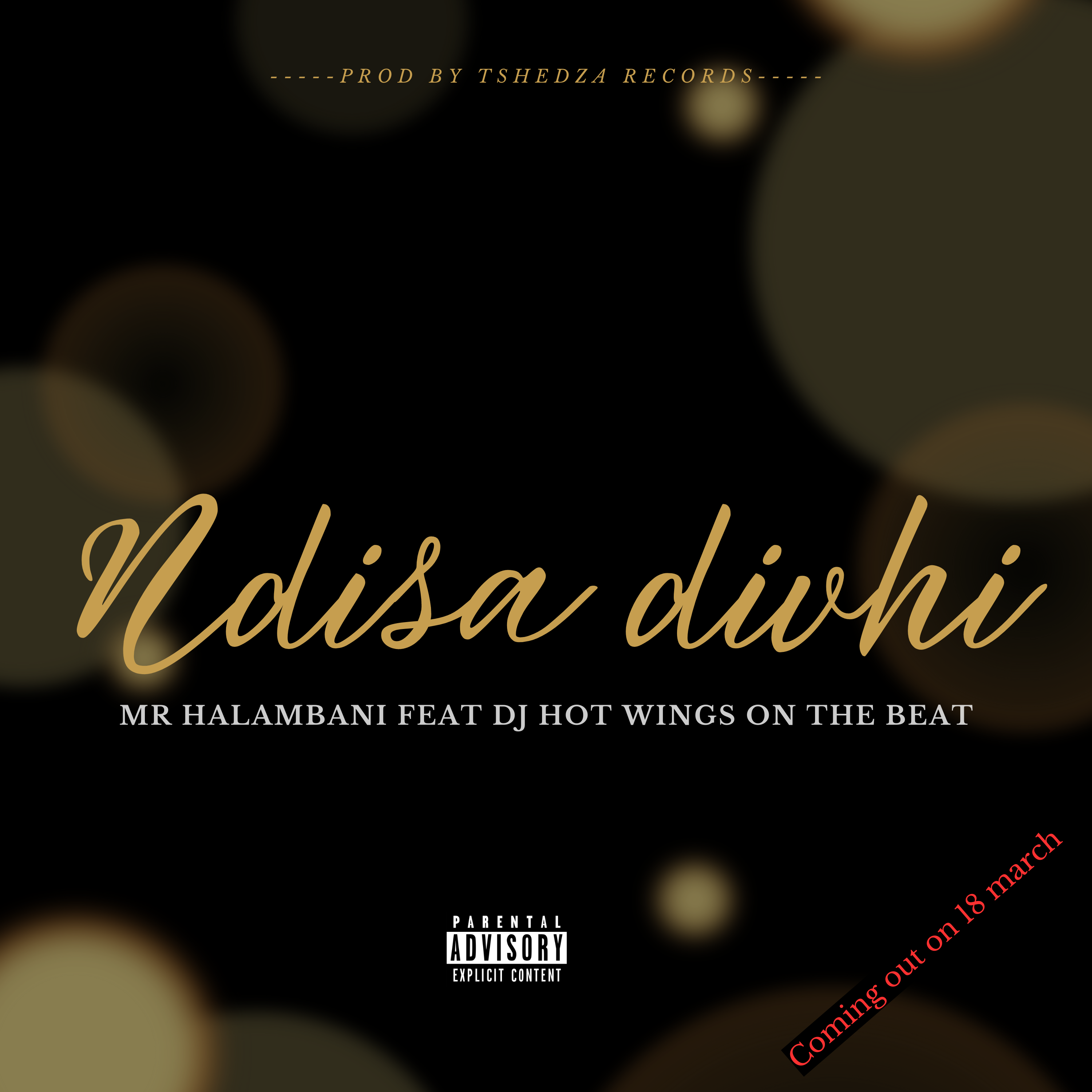 Mr halambani - Ndisa divhi Featuring Wings beatz