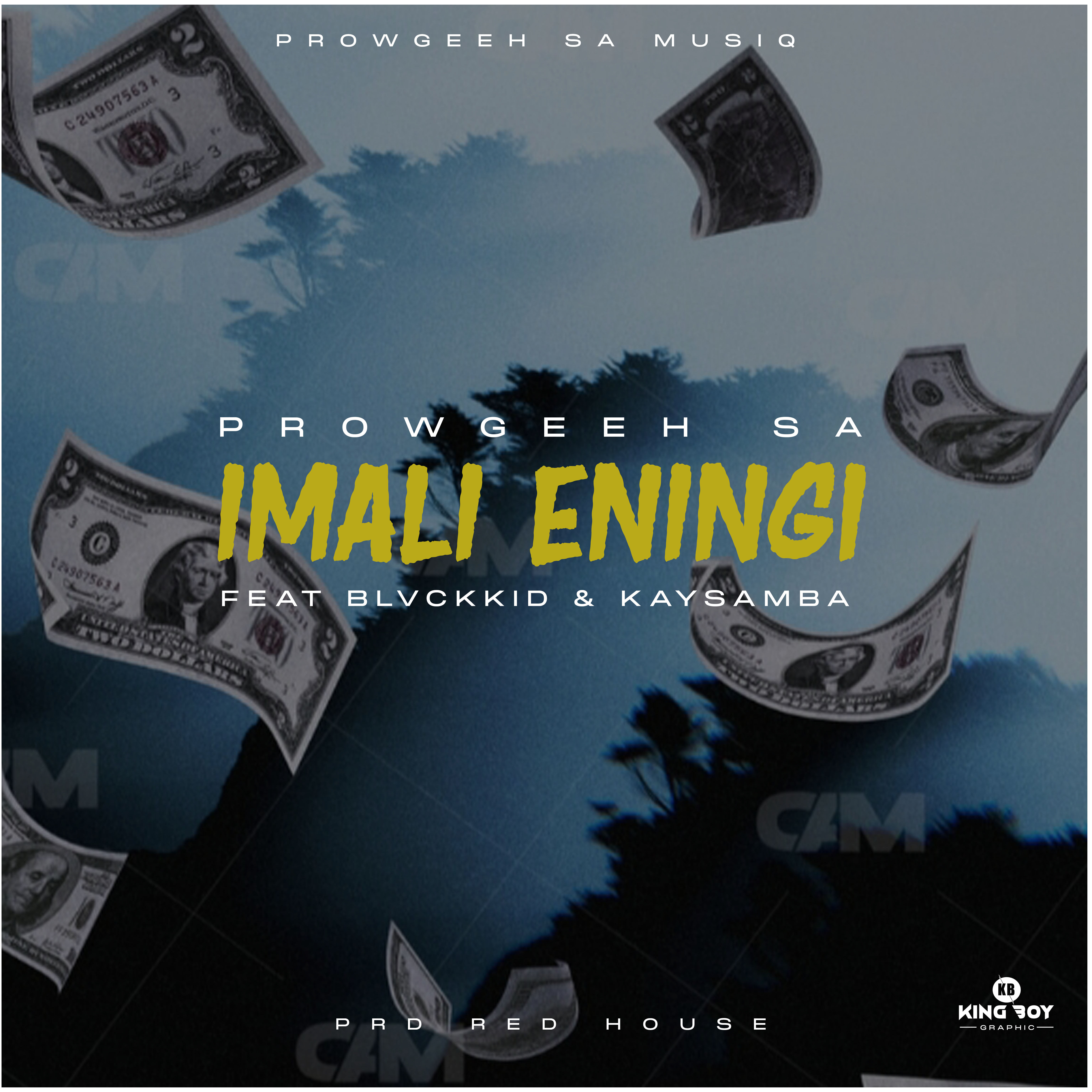 ProwgeehSA - Imali Eningi Featuring Kay samba, Blvck kid