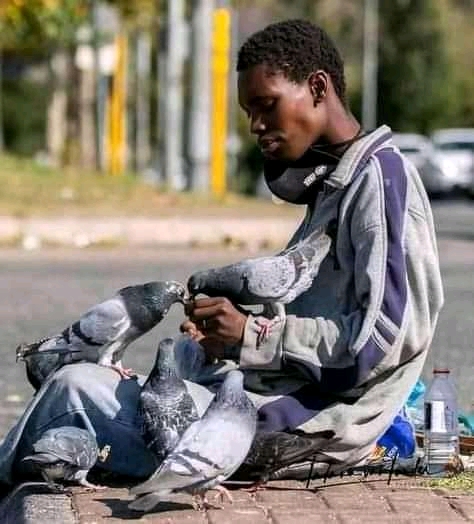 Sira Dehonesty SA - Intlupheko