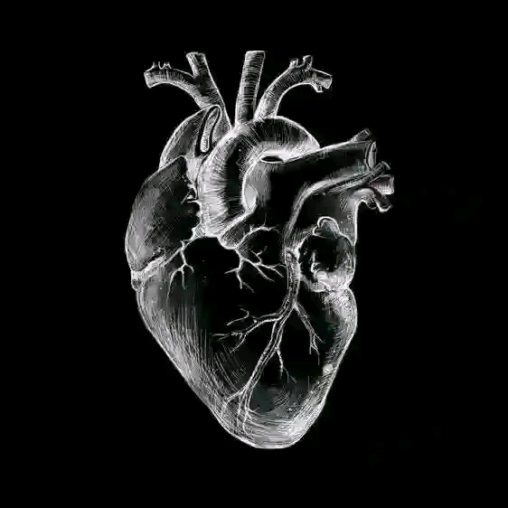 Fellow Gee - Enemies mp3 Featuring Casto b n Mukhanyi