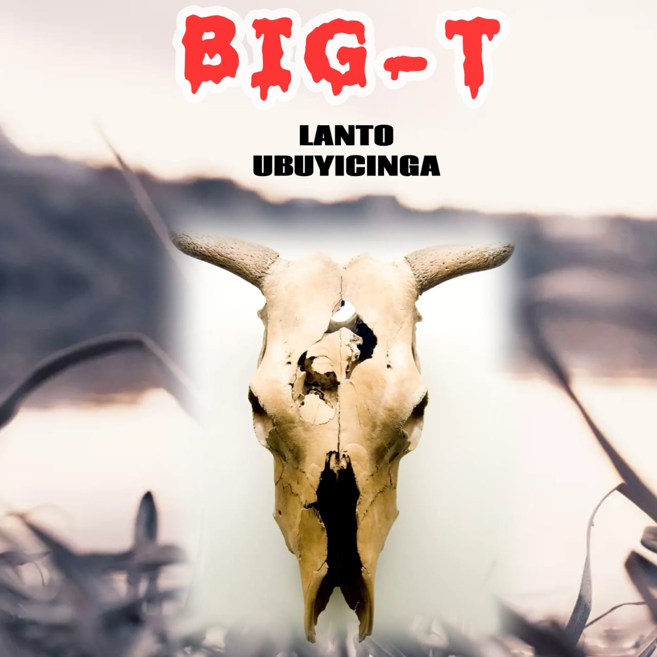Big-T - Lant'ubuycinga Featuring None album artwork