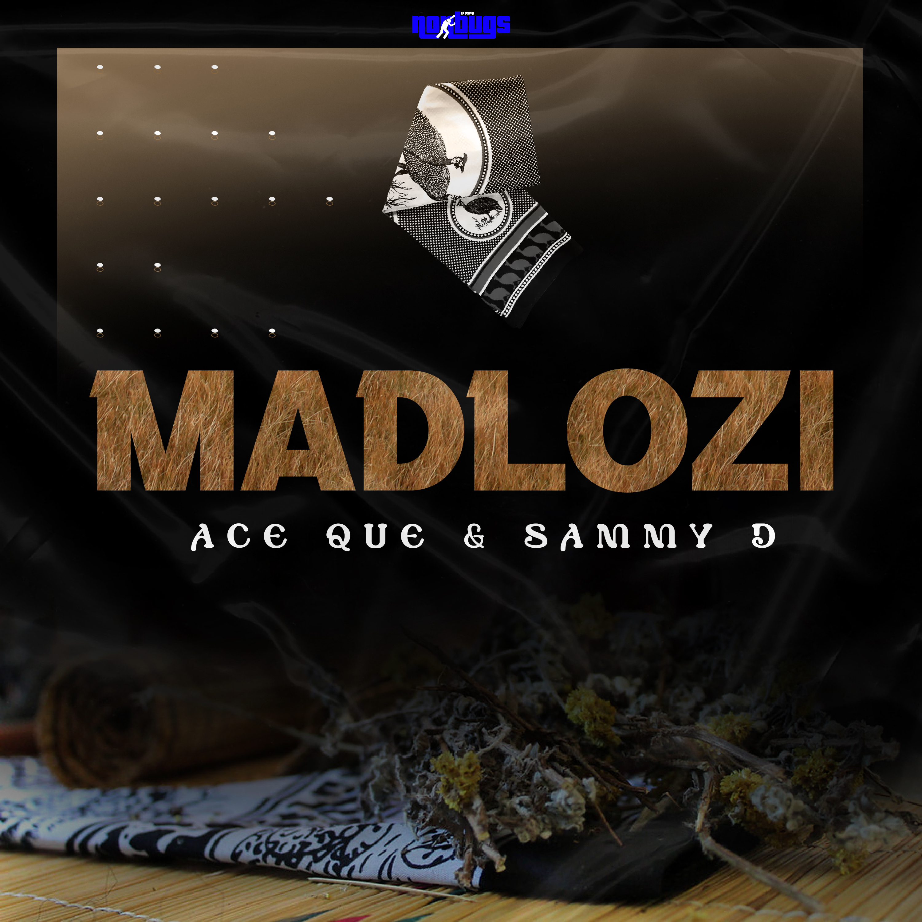 Ace Que & Sammy D - Madlozi