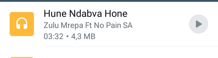 ZuluMrepa Ft No Pain SA - Hune ndabva hone Featuring ZuluMrepa ft No Pain SA [Gfr_MusiQ]