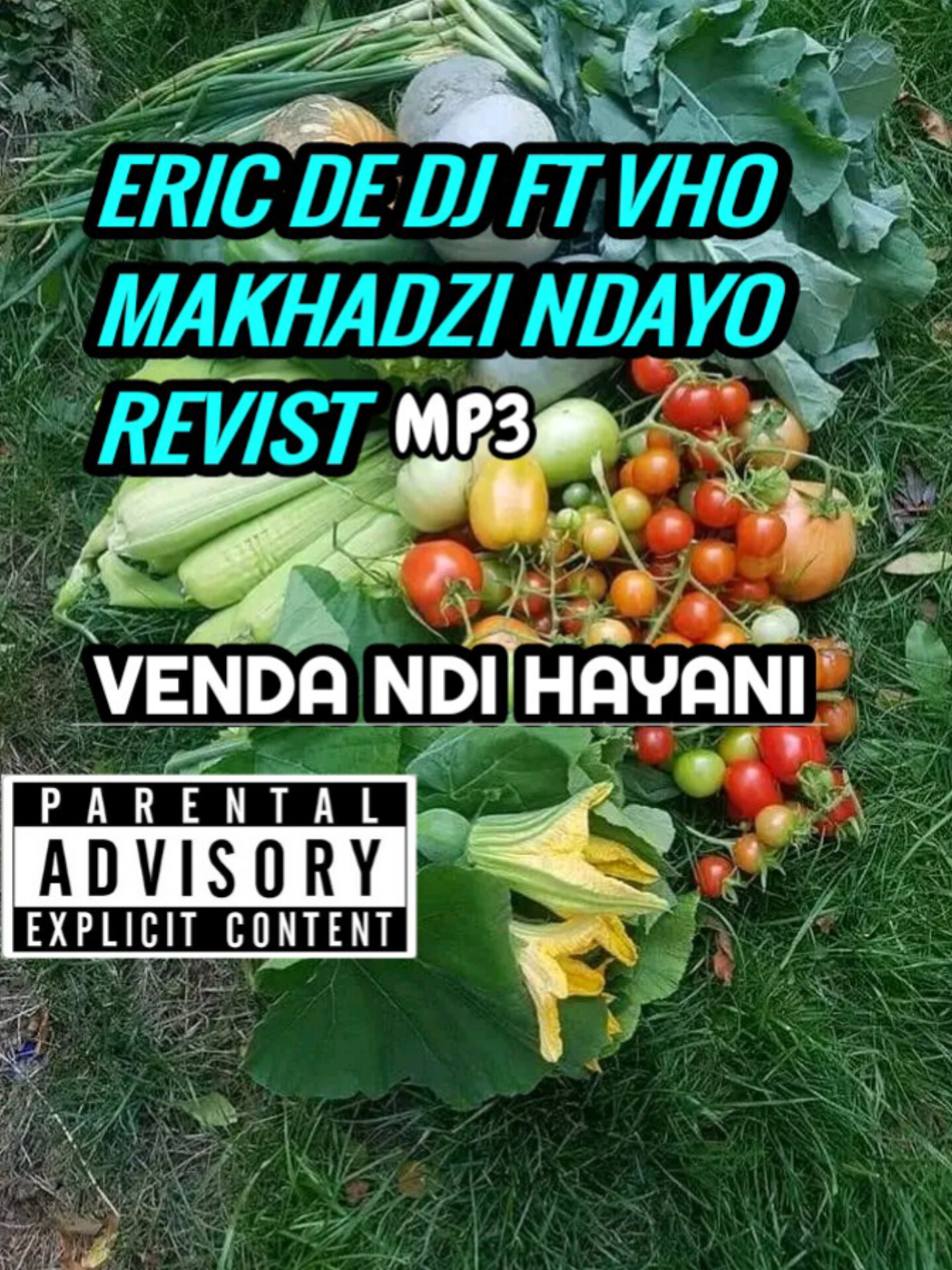 Eric de dj SA - Ndayo Featuring The late vho makhadzi  revist beat
