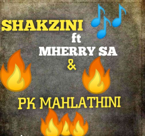 Shakzini - Is'fiso Featuring Merry Sa x Pk Mahlathini
