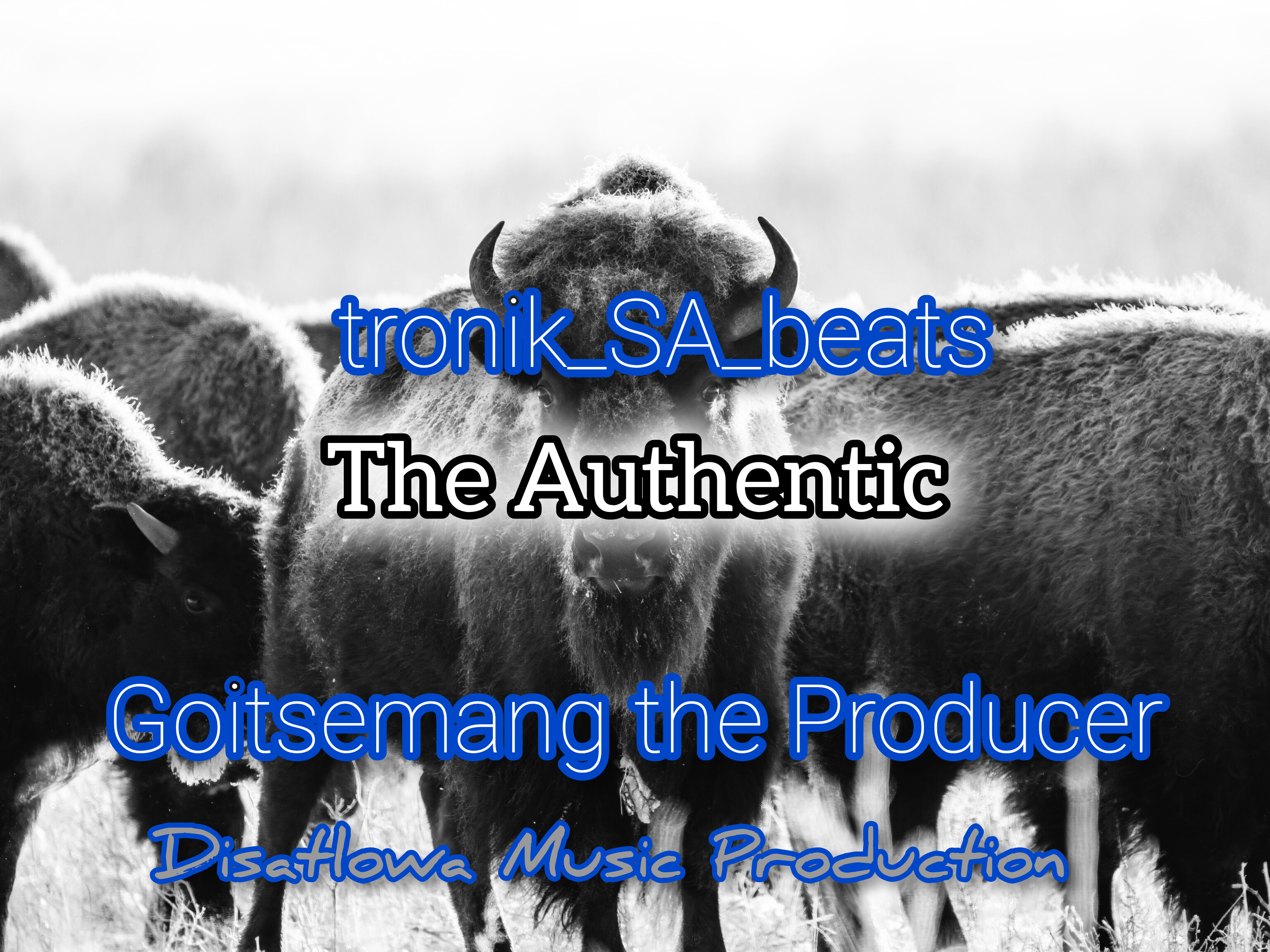 tronik_SA_beats_-_Goitsemang_the_producer - The Authentic