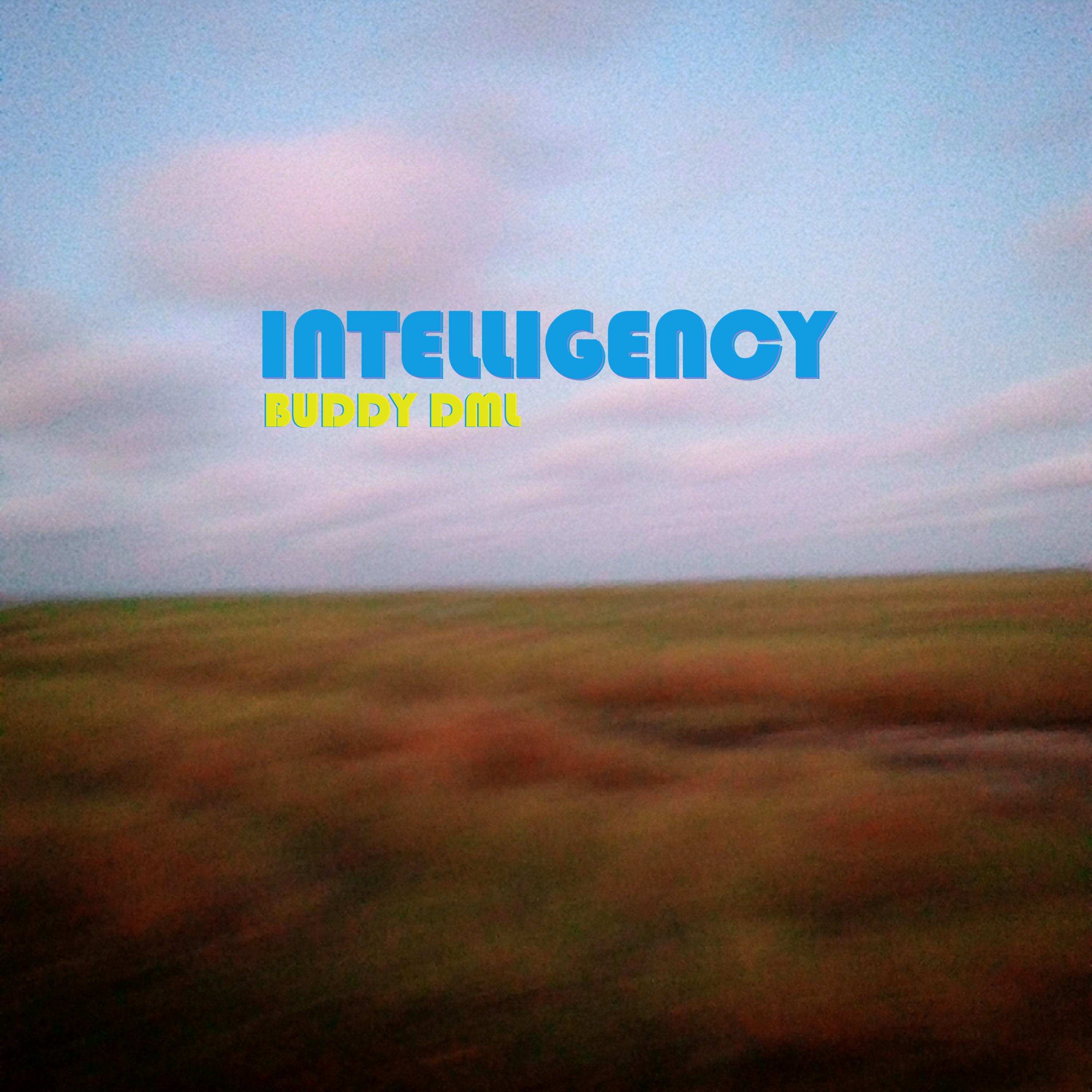 Buddy DML - Intelligency