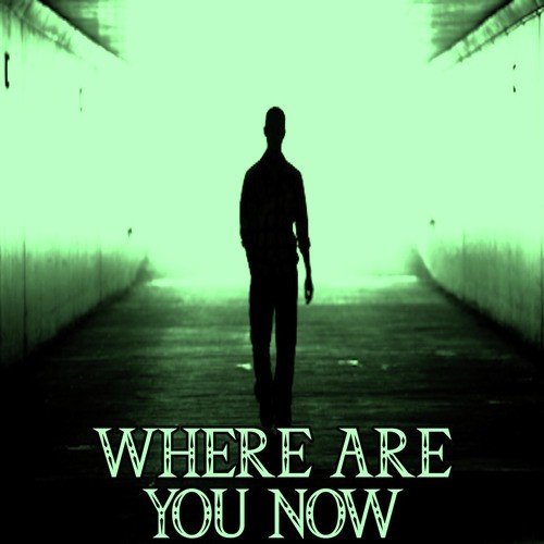 314 DEEP - Where are you now amapiano remake Featuring Lost frequencies ft Calcum Scott album artwork
