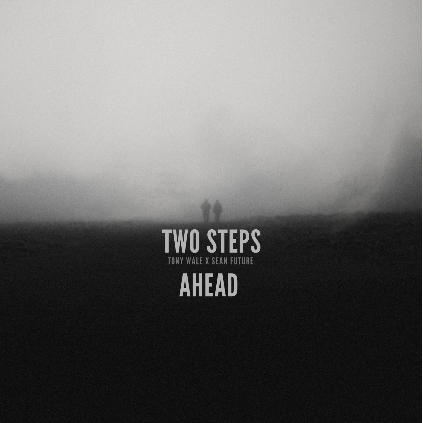 Tony Wale - Two Steps Ahead (Prod Tony Wale) Featuring Sean Future album artwork