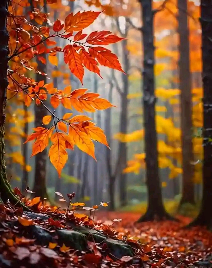 Take a lot - Would you know Featuring Fraingo Rsa + Trevor album artwork