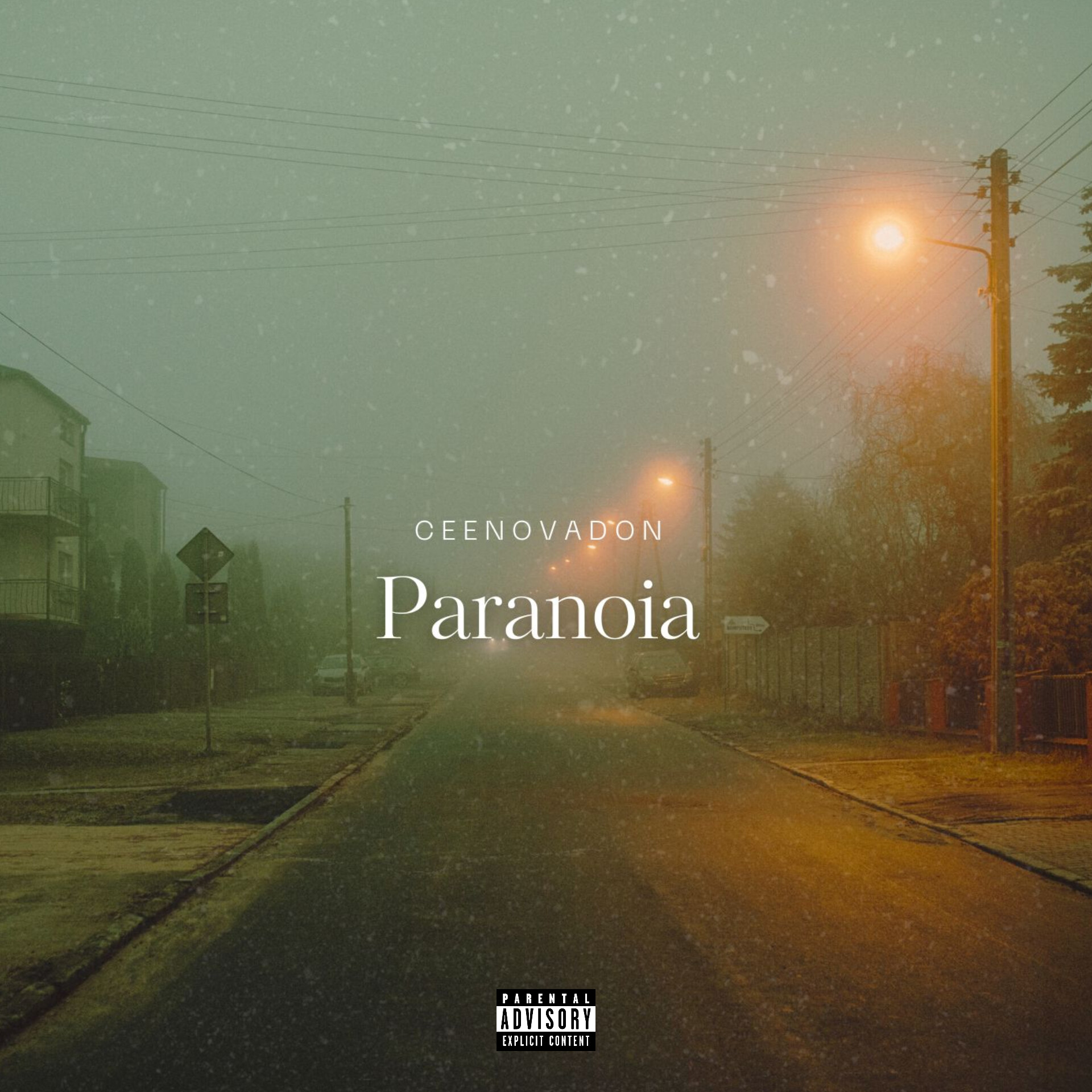 CEENOVADON - PARANOIA album artwork