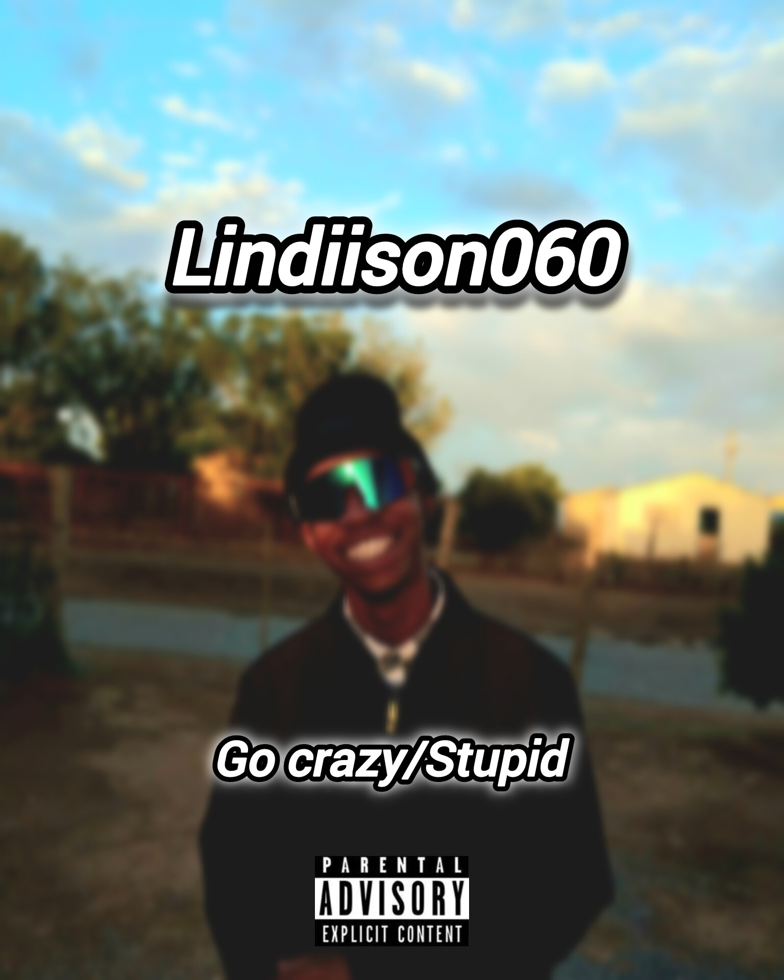 Lindiison060 - Go_Crazy/Stupid album artwork