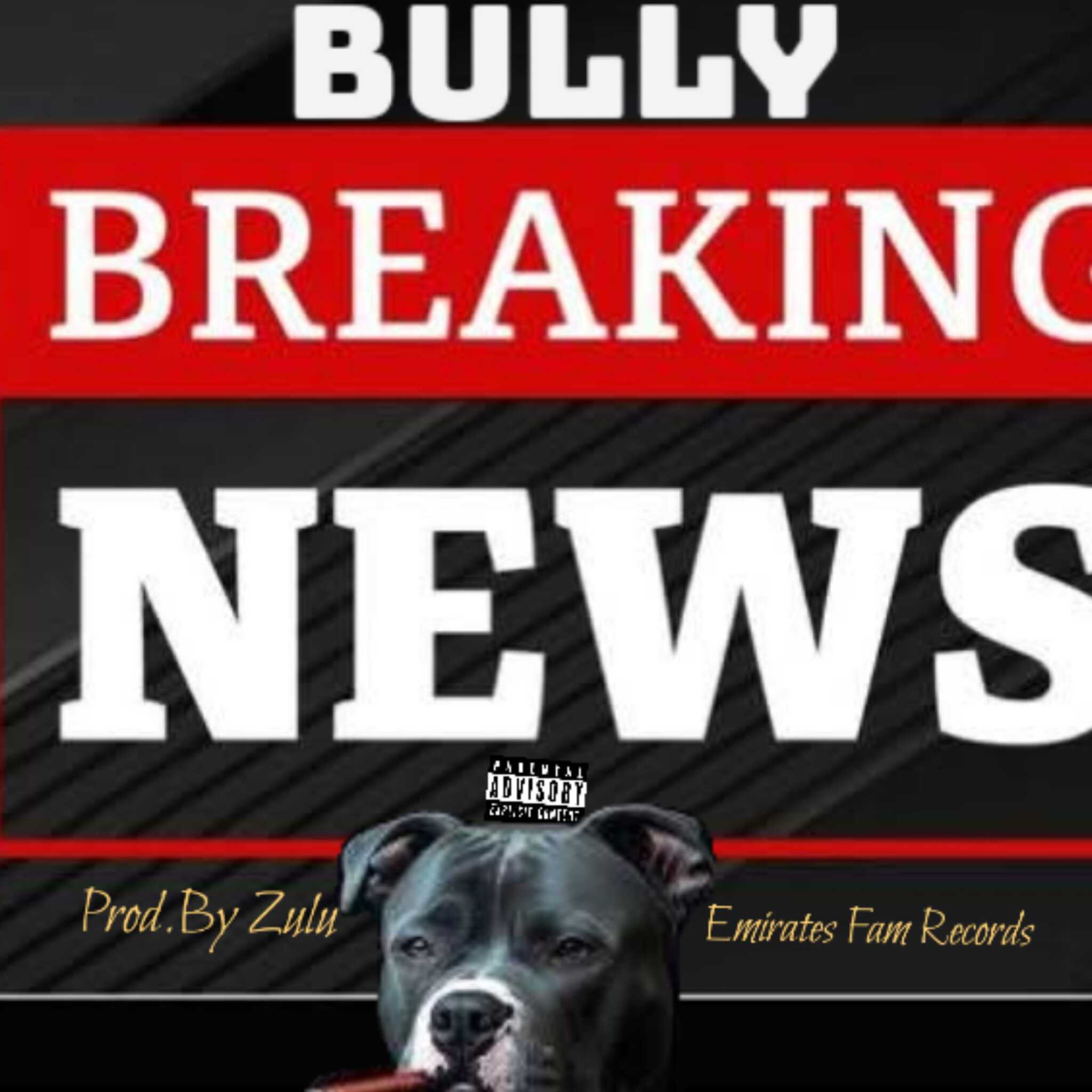 Nora De Gintsa - Bully album artwork