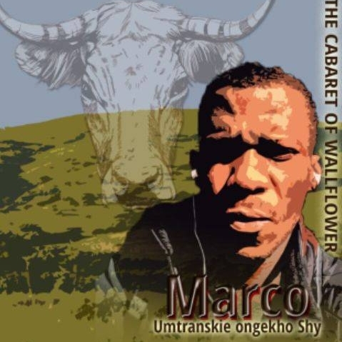 Marco - 12. Illusion album artwork