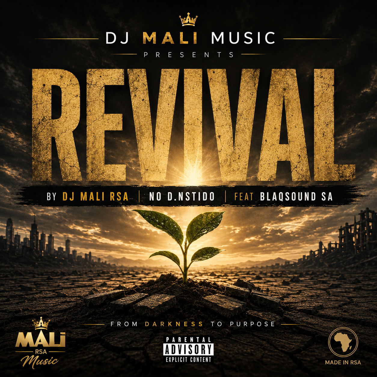 Dj Mali RSA no D.Ntsido - Revival Featuring Blaqsound SA album artwork