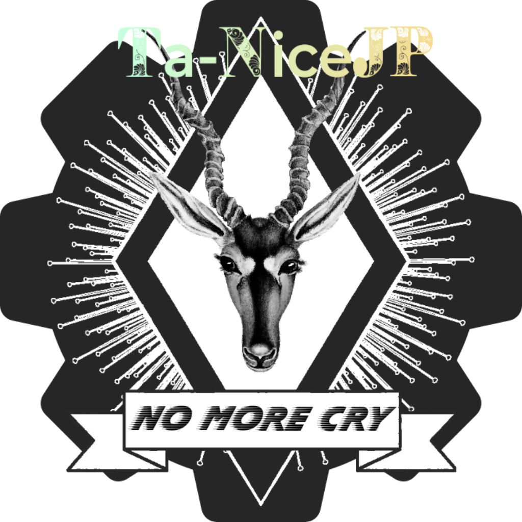 Ta-NiceJP - No more cry album artwork