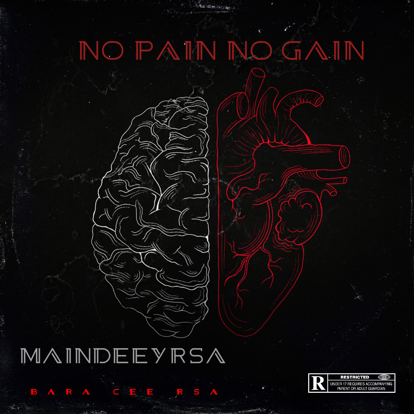 Main Deey RSA - NO PAIN NO GAIN Featuring Bara Cee RSA album artwork