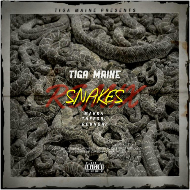 Tiga Maine - Snakes Remix Featuring Marka, TheeOri & ROBNORI album artwork